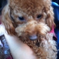 Kirby.2011.09.10-002.JPG
