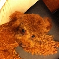 Kirby.2011.09.11-005.JPG
