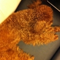 Kirby.2011.09.11-006.JPG