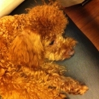Kirby.2011.09.11-007.JPG