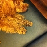 Kirby.2011.09.11-008.JPG
