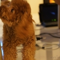 Kirby.2011.09.13-001.JPG