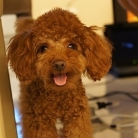 Kirby.2011.09.13-002.JPG