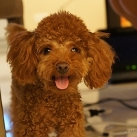 Kirby.2011.09.13-003.JPG