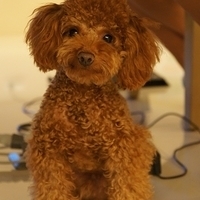 Kirby.2011.09.13-004.JPG