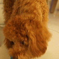 Kirby.2011.09.13-005.JPG