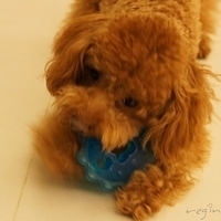 Kirby.2011.09.13-006.JPG