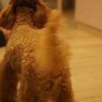 Kirby.2011.09.17-001.JPG
