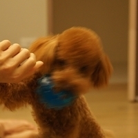 Kirby.2011.09.17-002.JPG