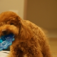 Kirby.2011.09.17-003.JPG