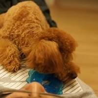 Kirby.2011.09.17-004.JPG