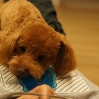 Kirby.2011.09.17-005.JPG