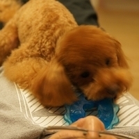 Kirby.2011.09.17-006.JPG