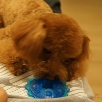 Kirby.2011.09.17-007.JPG