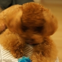 Kirby.2011.09.17-008.JPG