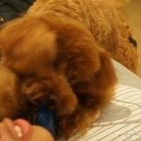 Kirby.2011.09.17-009.JPG