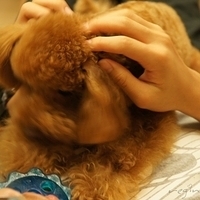 Kirby.2011.09.17-010.JPG