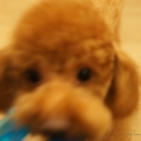 Kirby.2011.09.17-011.JPG