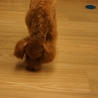 Kirby.2011.09.17-013.JPG