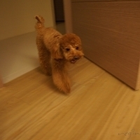 Kirby.2011.09.17-014.JPG