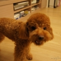Kirby.2011.09.17-015.JPG
