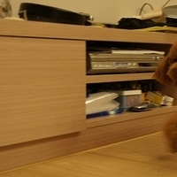Kirby.2011.09.17-016.JPG