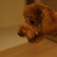 Kirby.2011.09.17-017.JPG