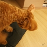 Kirby.2011.09.17-018.JPG