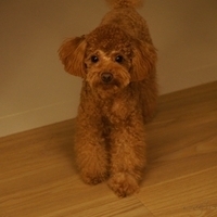 Kirby.2011.09.17-019.JPG