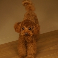 Kirby.2011.09.17-020.JPG