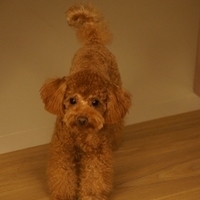 Kirby.2011.09.17-021.JPG