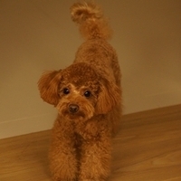 Kirby.2011.09.17-022.JPG