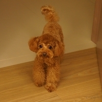 Kirby.2011.09.17-023.JPG