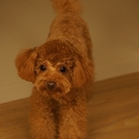 Kirby.2011.09.17-024.JPG