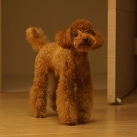 Kirby.2011.09.17-025.JPG