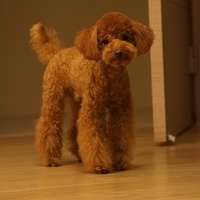 Kirby.2011.09.17-026.JPG
