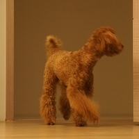 Kirby.2011.09.17-027.JPG