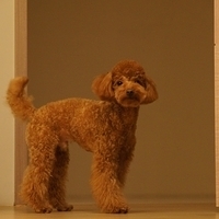 Kirby.2011.09.17-028.JPG