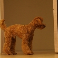 Kirby.2011.09.17-029.JPG