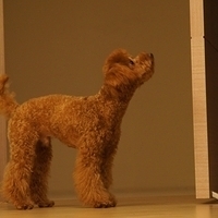 Kirby.2011.09.17-030.JPG