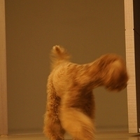 Kirby.2011.09.17-031.JPG