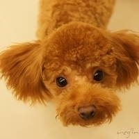 Kirby.2011.09.17-033.JPG