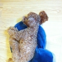 Kirby.2011.09.22-001.JPG