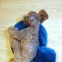 Kirby.2011.09.22-002.JPG