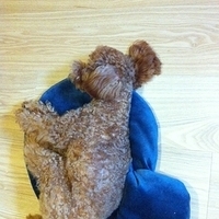Kirby.2011.09.22-003.JPG