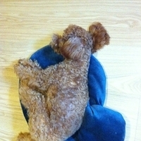 Kirby.2011.09.22-004.JPG