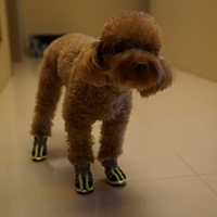Kirby.2012.09.27-001.JPG