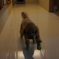 Kirby.2012.09.27-003.JPG