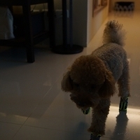 Kirby.2012.09.27-004.JPG