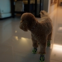 Kirby.2012.09.27-005.JPG